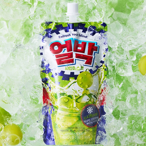 동아제약 박카스 얼박 210ml x 10팩