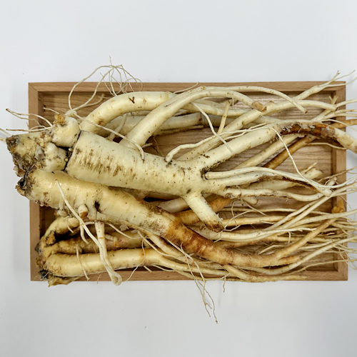 국내산 세척/흙도라지 1kg 2kg 