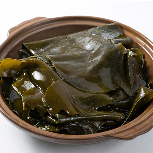 완도 건다시마 500g (3일 이내 생산된 다시마)