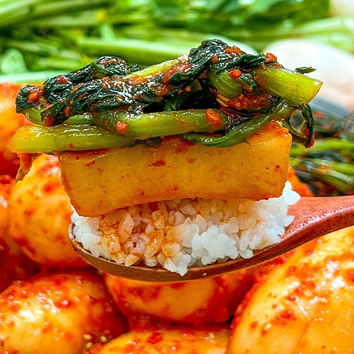 국내산 햇 여린 봄초롱무 김치 2.5kg