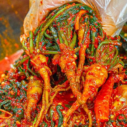 쌉싸름한 여수돌산 고들빼기 김치 1kg