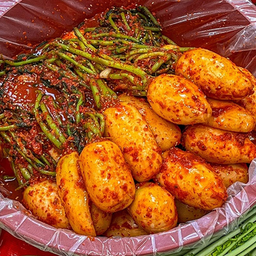 국내산 햇 여린 봄초롱무 김치 2.5kg